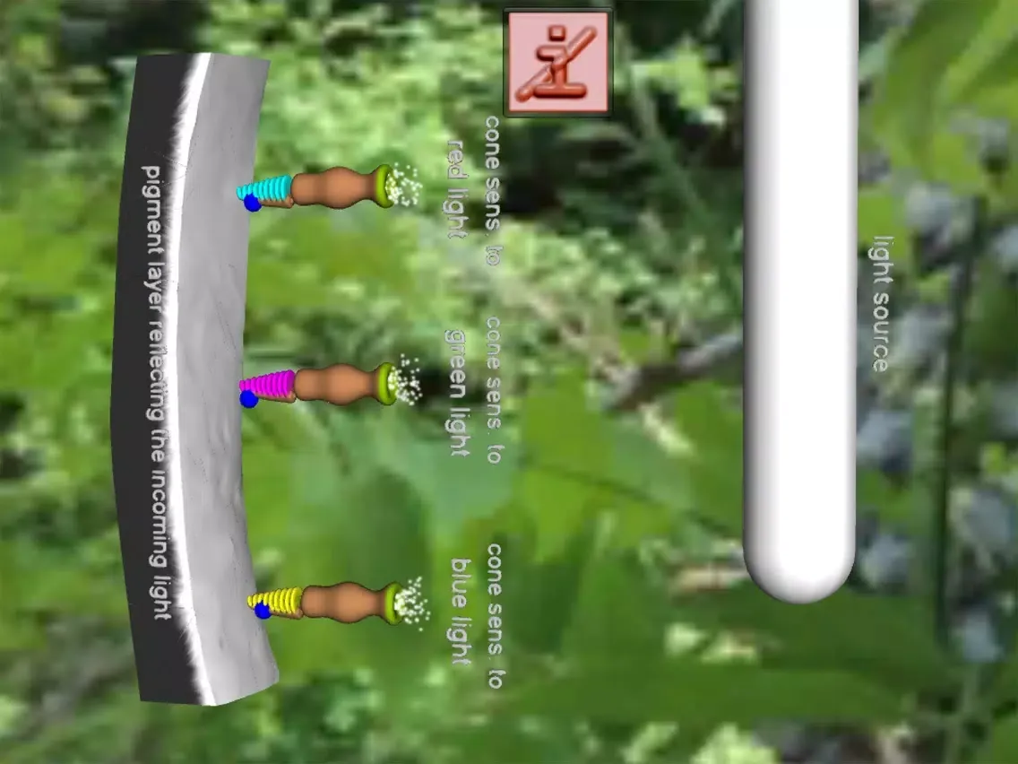 Captures d'écran de Eye Structure and Function iPad 