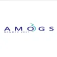 Amogs2017