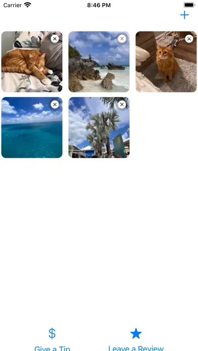 Snap Widget: Easy Photo Widget Screenshots