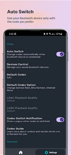 Bluetooth Codec Changer应用截图