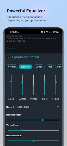 Bluetooth Codec Changer应用截图