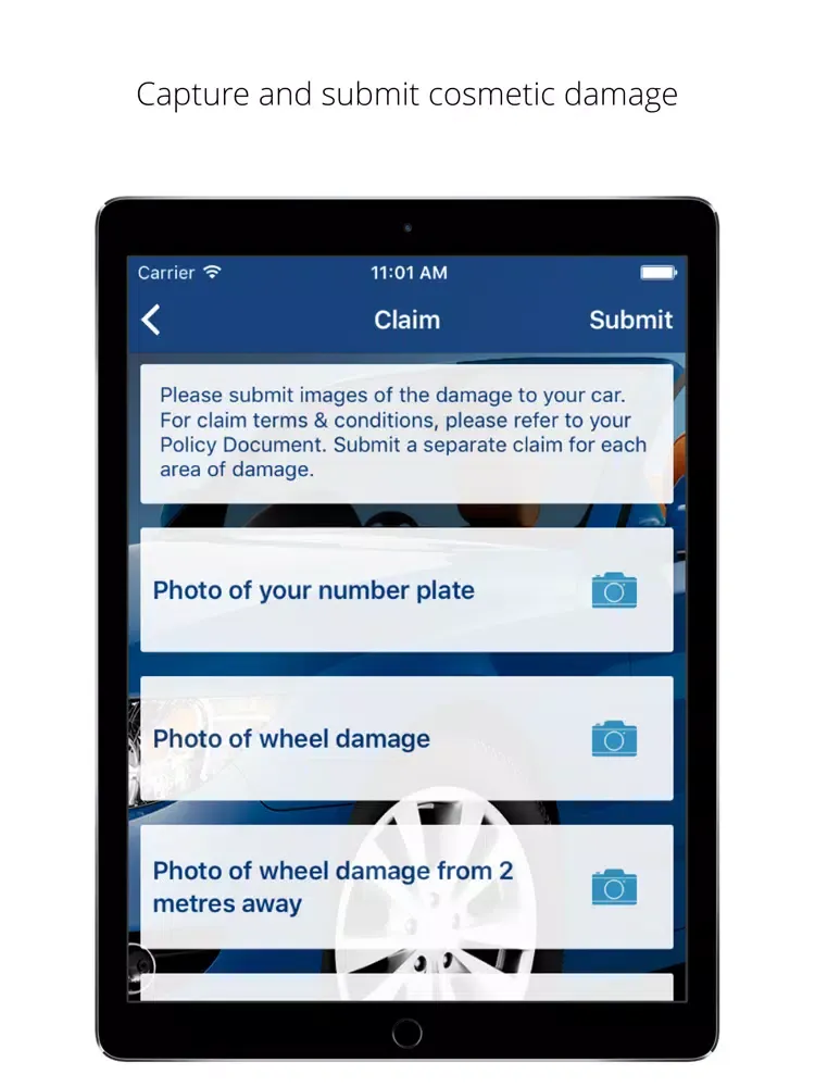 Ford Cosmetic Repair iPad Screenshots