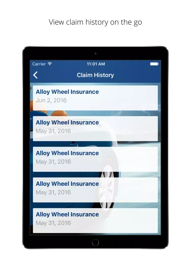Ford Cosmetic Repair iPad Screenshots