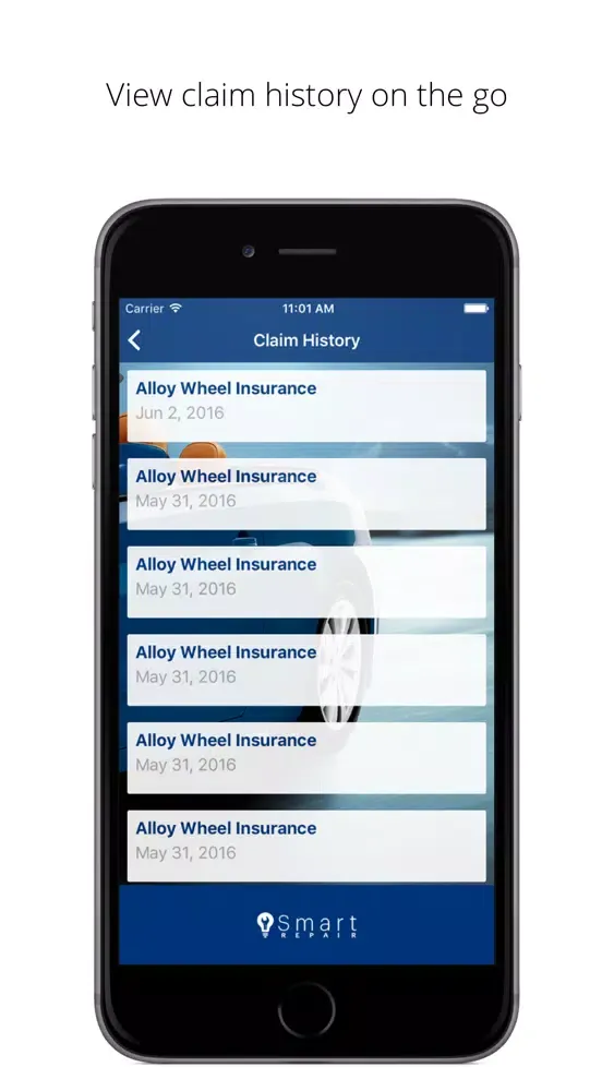Ford Cosmetic Repair Screenshots