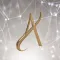 2.0 Artistry Skin Analyzer