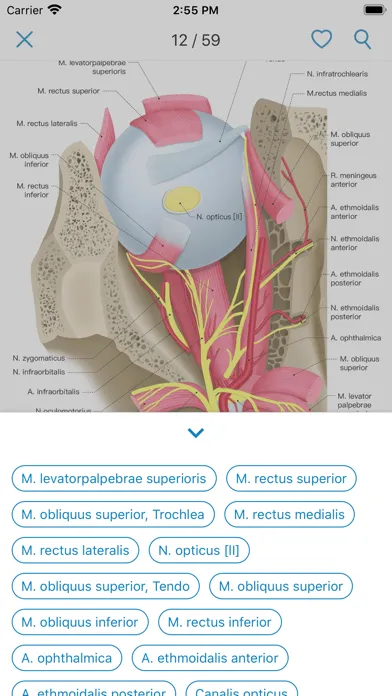 Zrzuty ekranu Ocular Anatomy Atlas