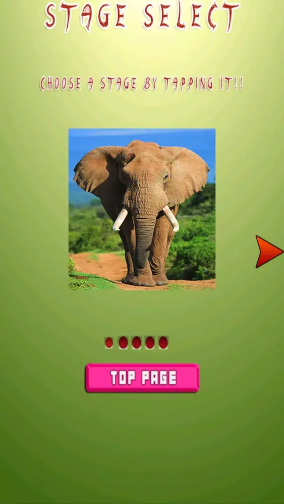 Скриншоты Sliding Animal Puzzle Game