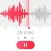 Voice Recorder