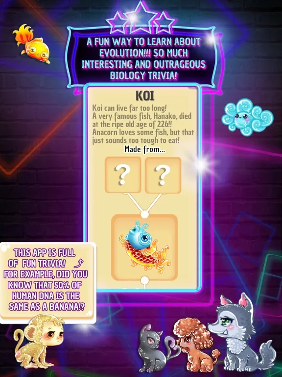 The Creation: God's Puzzle iPad 應用截圖
