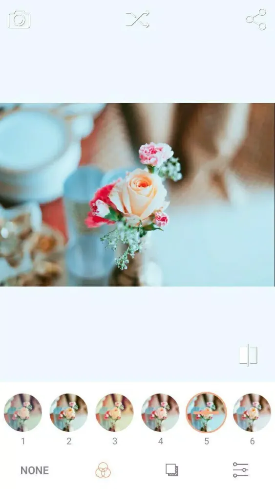 LightPink应用截图