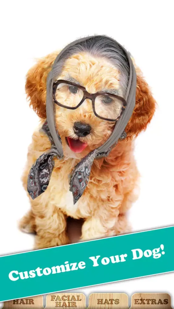 Capturas de pantalla de Pimp My Dog