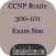 ExamSim For CCNP Route 300-101