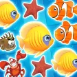 Star Fish Match 3