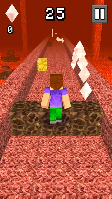 Nether Run স্ক্রিনশট