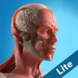 Anatomy Game Anatomicus Lite Anatomy Game Anatomicus Lite