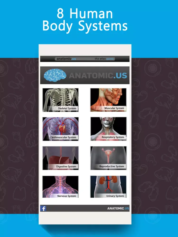 Anatomy Game Anatomicus Lite iPad  Screenshots