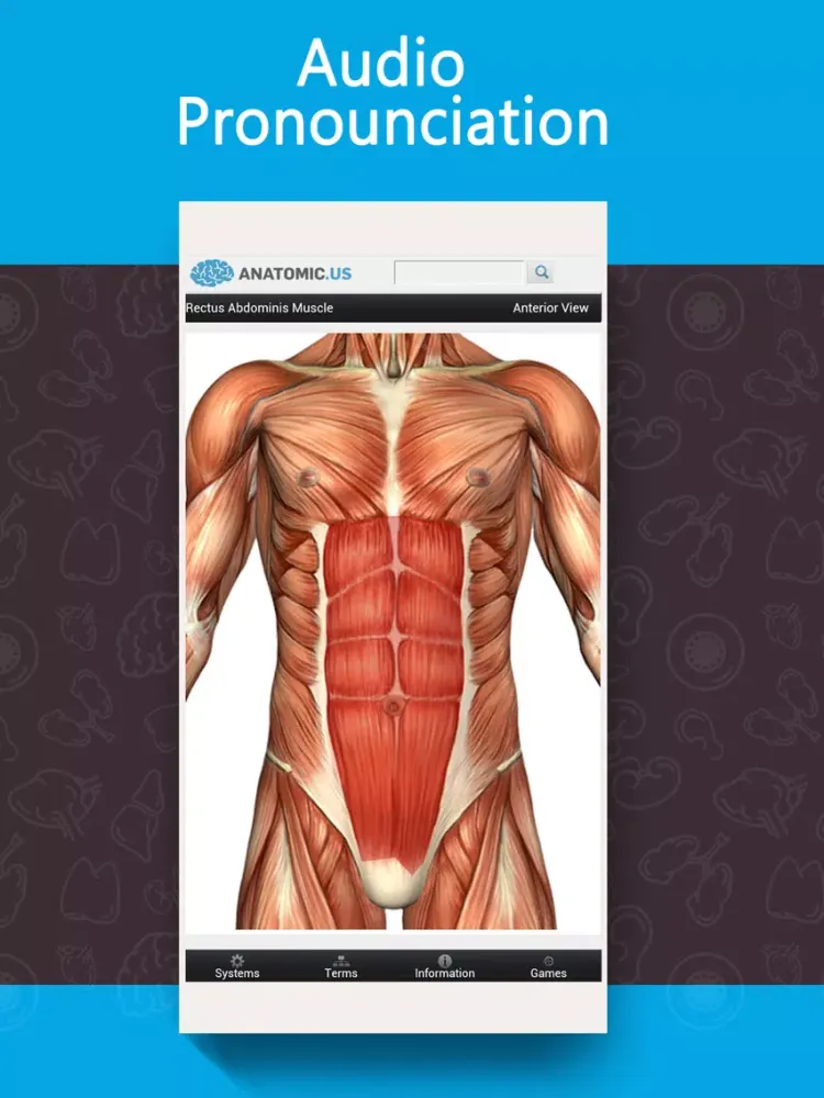 Anatomy Game Anatomicus Lite iPad  Screenshots