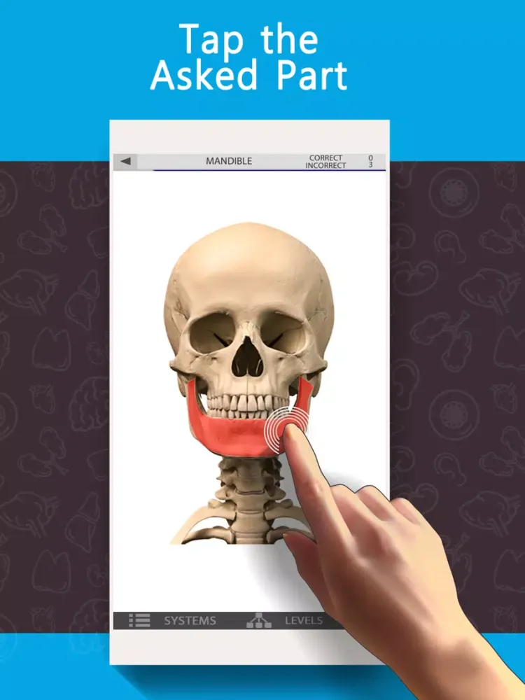 Anatomy Game Anatomicus Lite iPad  Screenshots