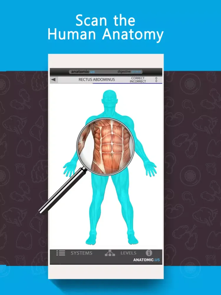 Anatomy Game Anatomicus Lite iPad  Screenshots