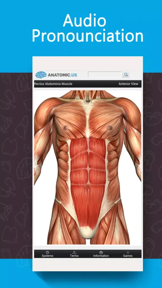 Anatomy Game Anatomicus Lite Screenshots