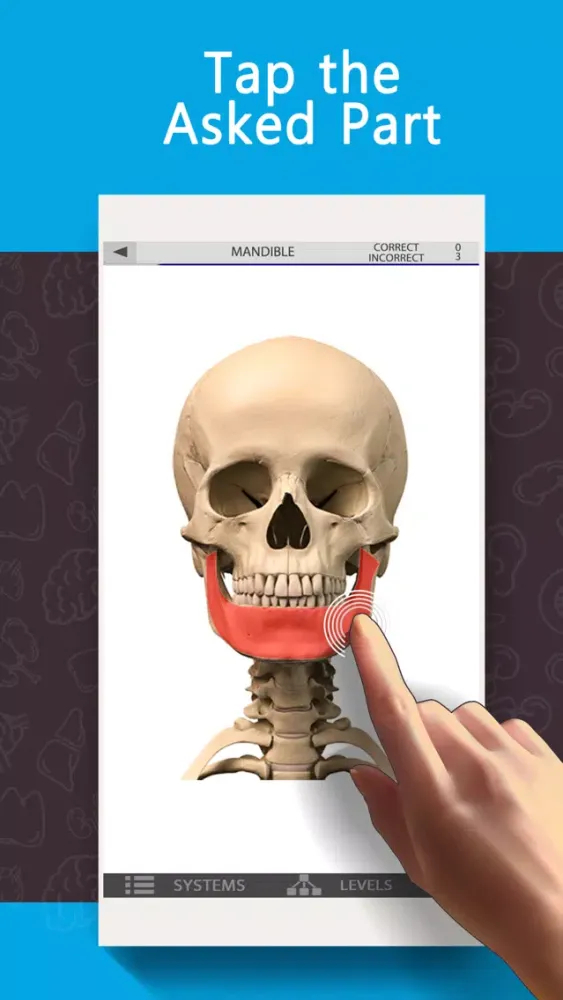 Anatomy Game Anatomicus Lite Screenshots
