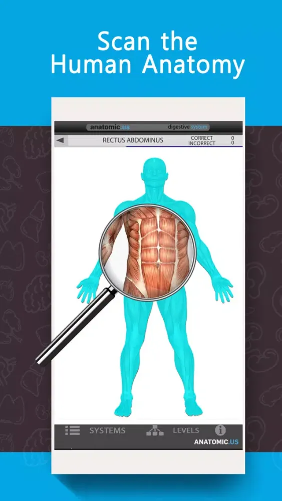 Anatomy Game Anatomicus Lite Screenshots