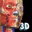 3D Anatomy Learning - Atlas 3D Anatomy Learning - Atlas