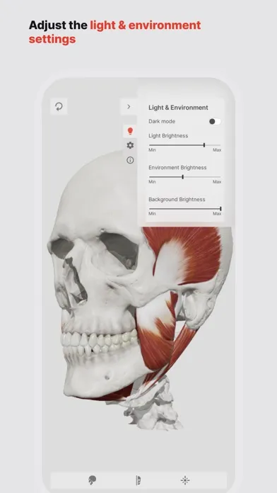 Zrzuty ekranu Skull, Teeth & TMJ