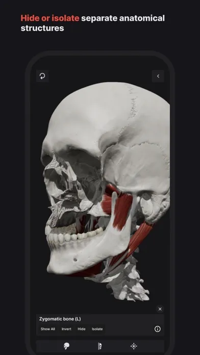 Zrzuty ekranu Skull, Teeth & TMJ