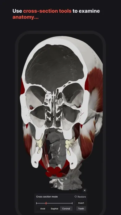 Zrzuty ekranu Skull, Teeth & TMJ