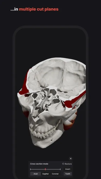 Zrzuty ekranu Skull, Teeth & TMJ