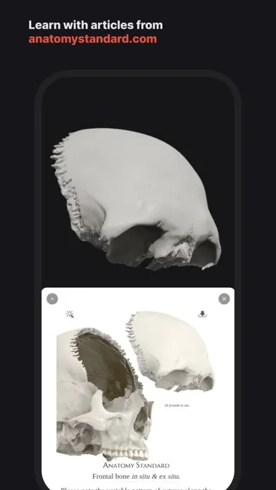 Zrzuty ekranu Skull, Teeth & TMJ