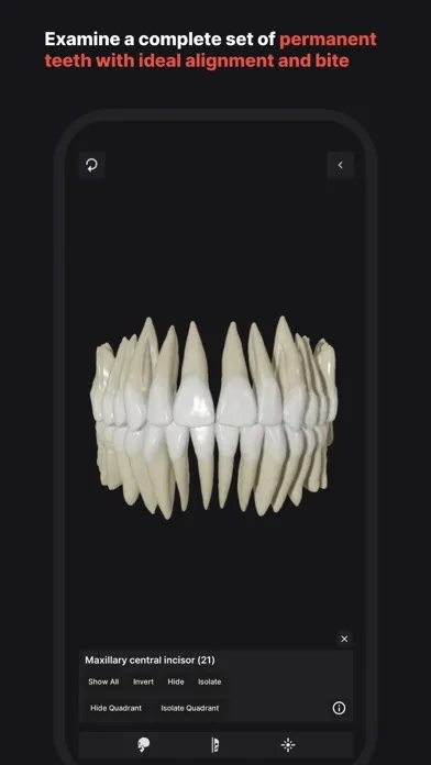 Zrzuty ekranu Skull, Teeth & TMJ