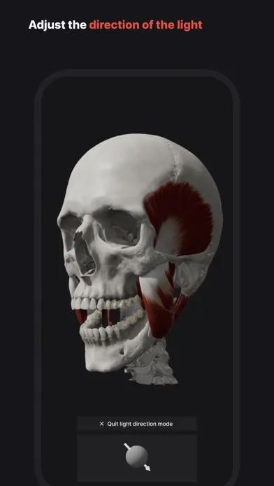 Zrzuty ekranu Skull, Teeth & TMJ