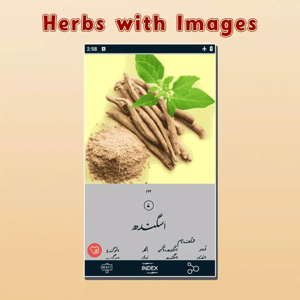 ภาพหน้าจอของ Gharelu Ilaj Encyclopedia Book