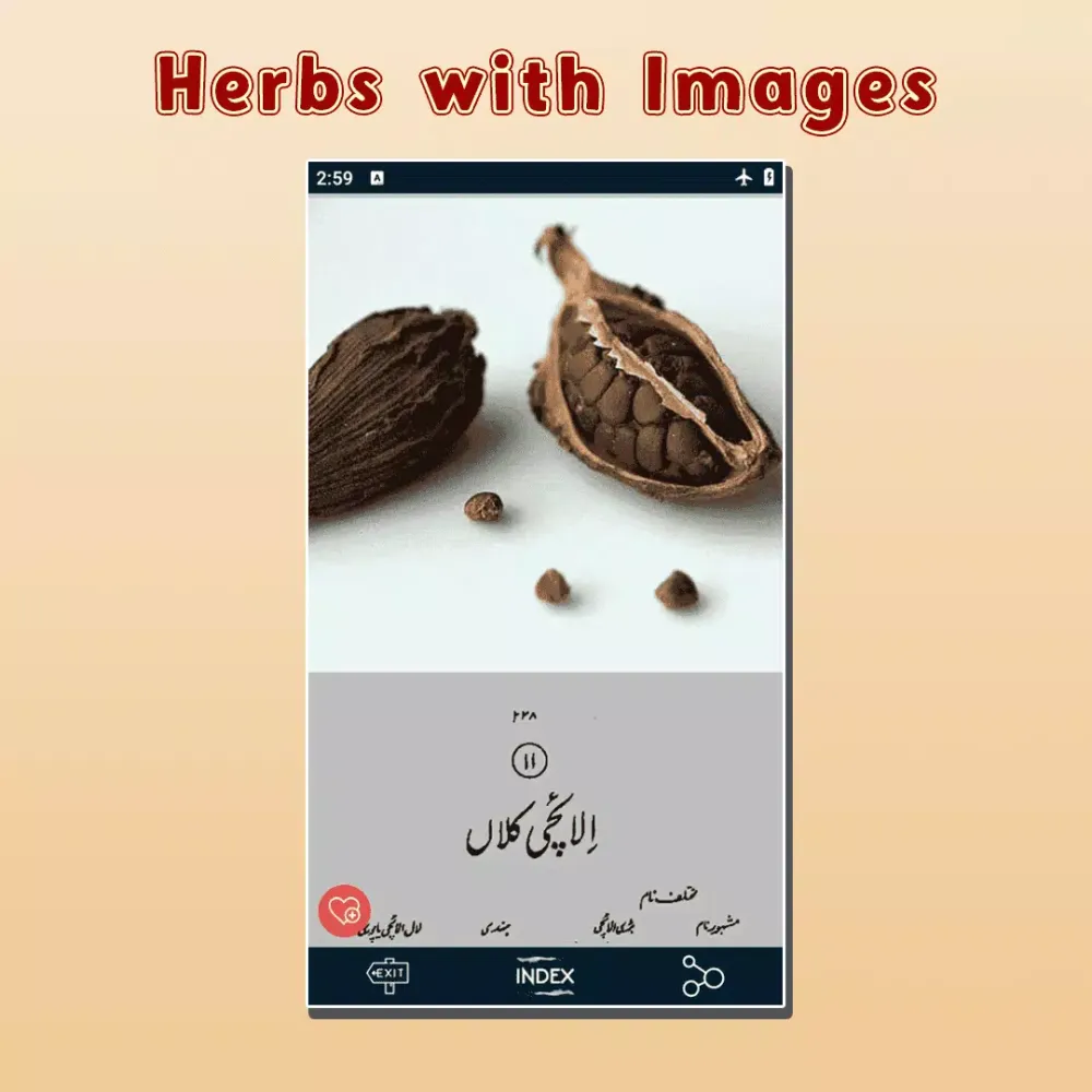 ภาพหน้าจอของ Gharelu Ilaj Encyclopedia Book