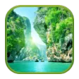 10000 Nature Wallpapers