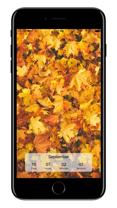 Countdown Timer. Screenshots