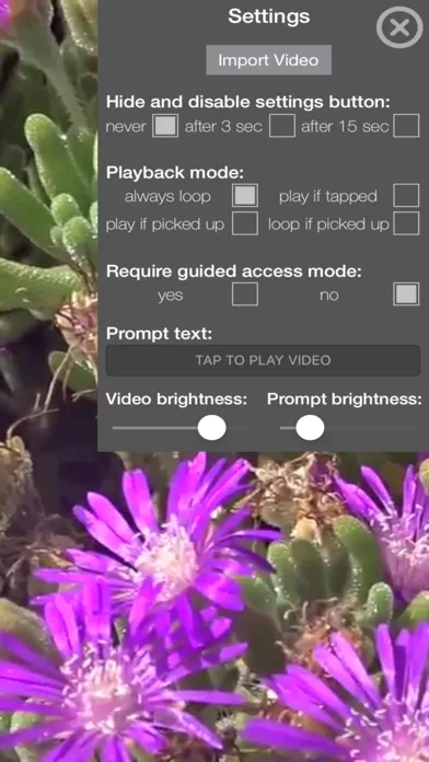 Museum Loop Video Player سکرین شاٹس