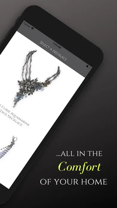 Andrea Li Designs应用截图