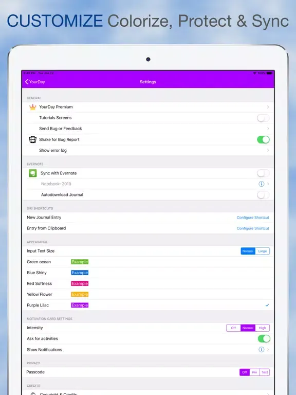 Zrzuty ekranu YourDay Journal für Evernote iPad 