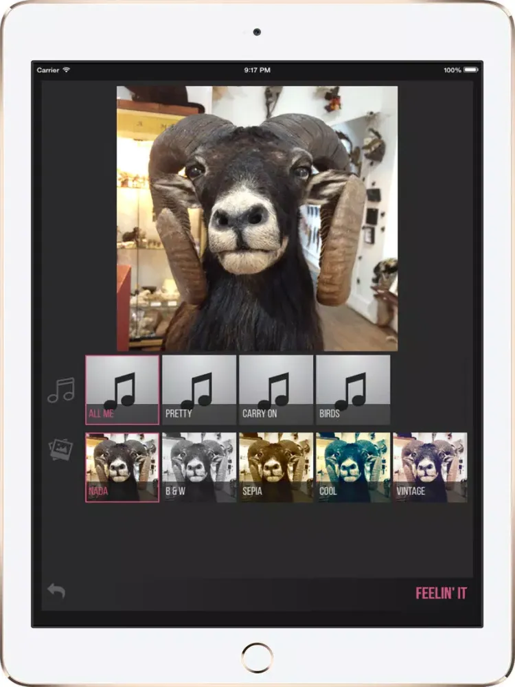 FeelingMyself - Selfies for when you're feeling it iPad  Ekran Görüntüleri
