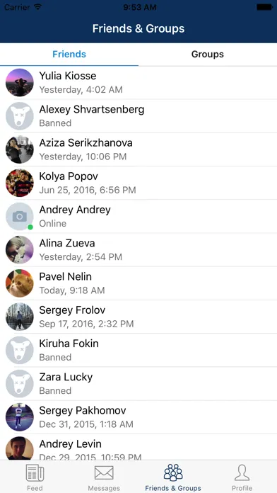 VKClient - App for VK 스크린샷