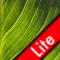 Nature Photo Art Wallpapers Lite