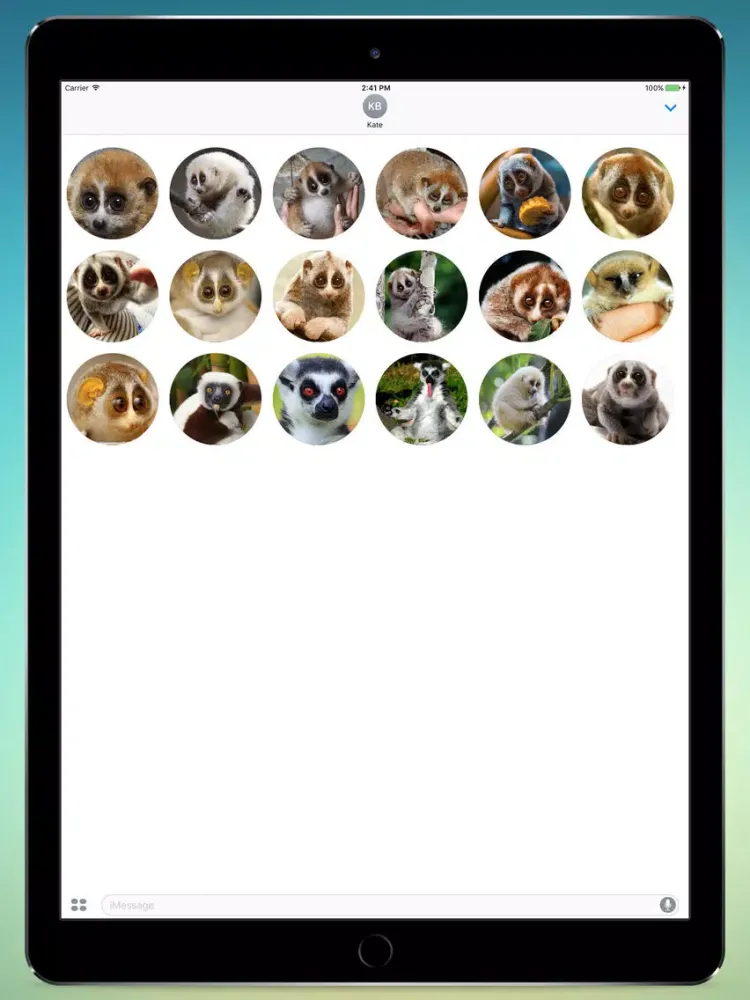 Lovely Lemurs! Stickers iPad  Screenshots