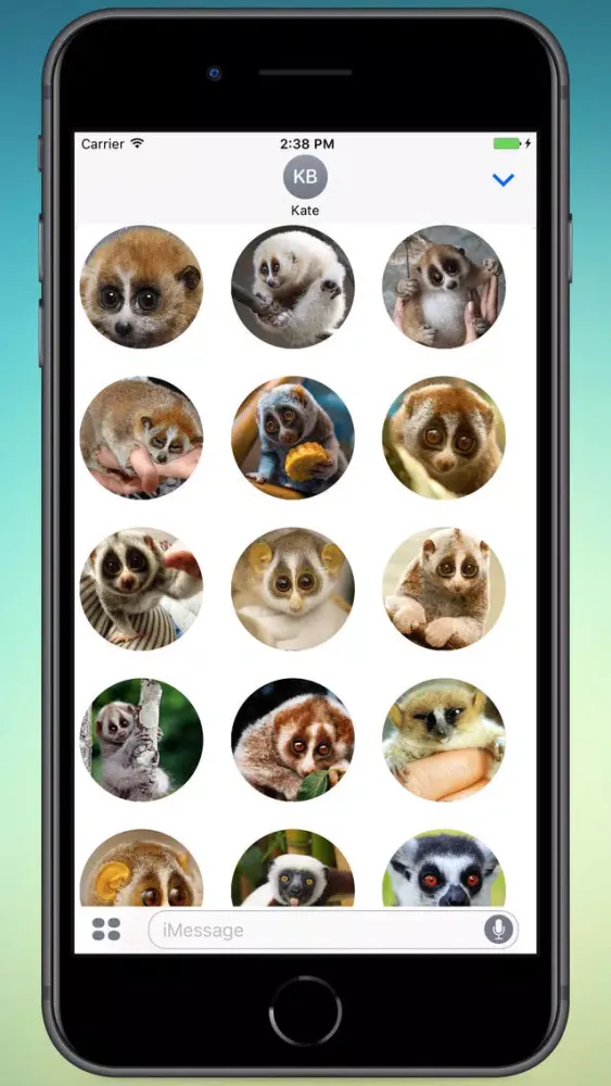Lovely Lemurs! Stickers Screenshots