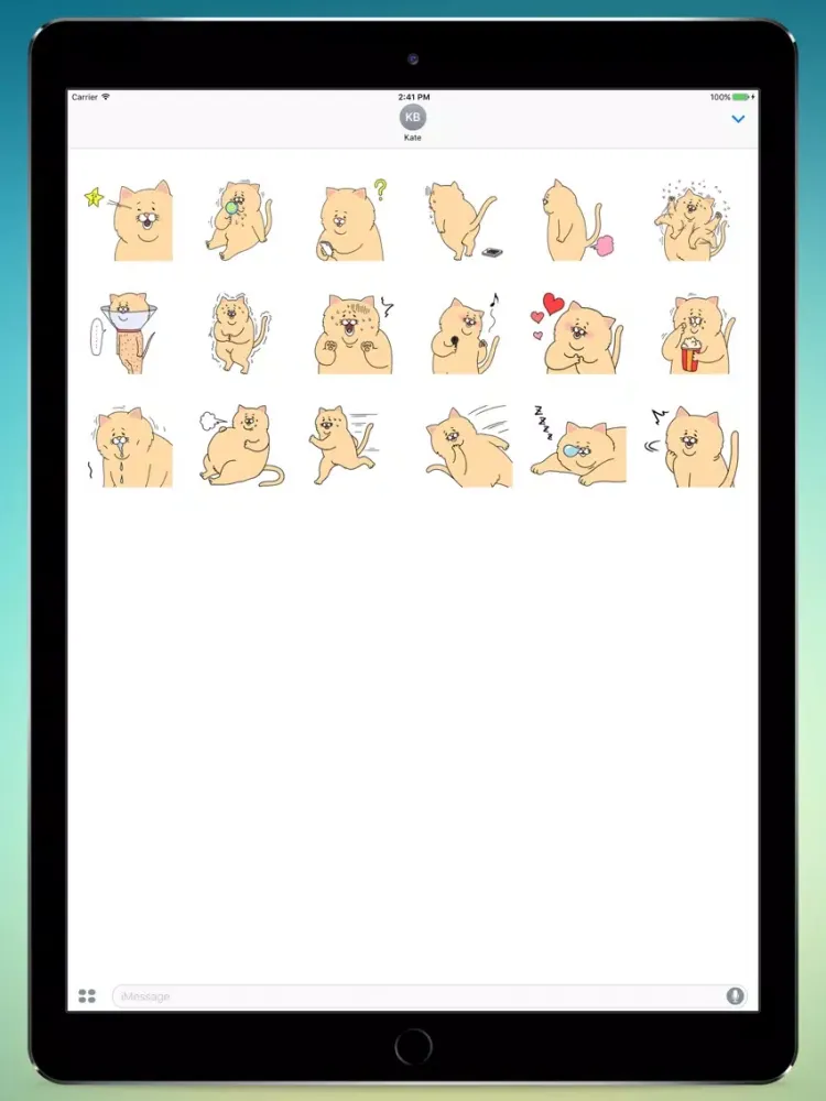 Sad Fat Cat! Stickers iPad Screenshots