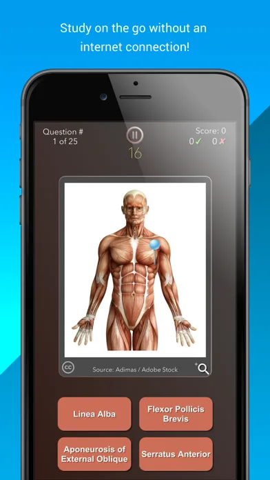Anatomist – Anatomy Quiz Game Screenshots