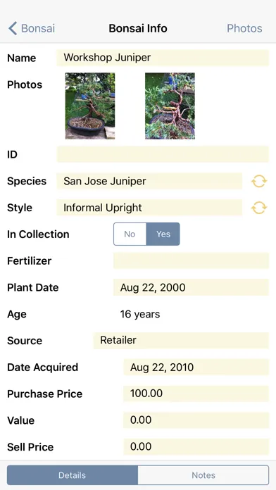 تصاویر Bonsai Album