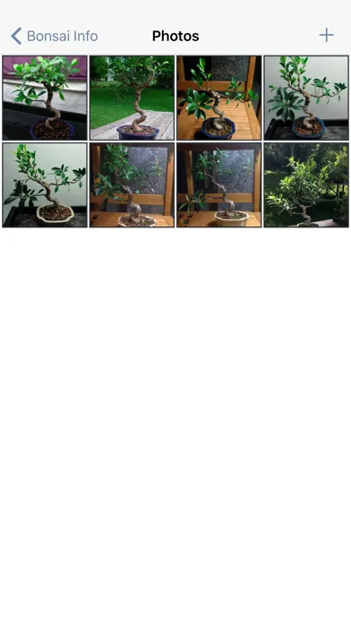 تصاویر Bonsai Album
